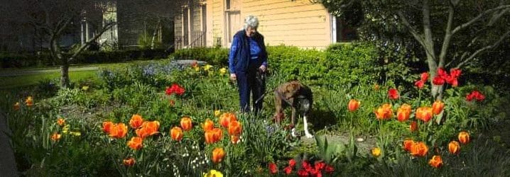 A Year of Living and Dying