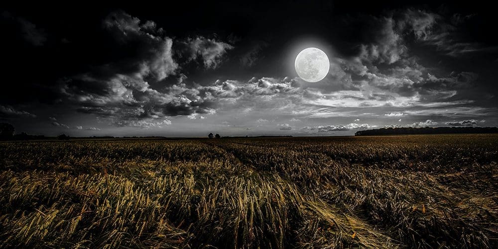 Can You See the Moon?